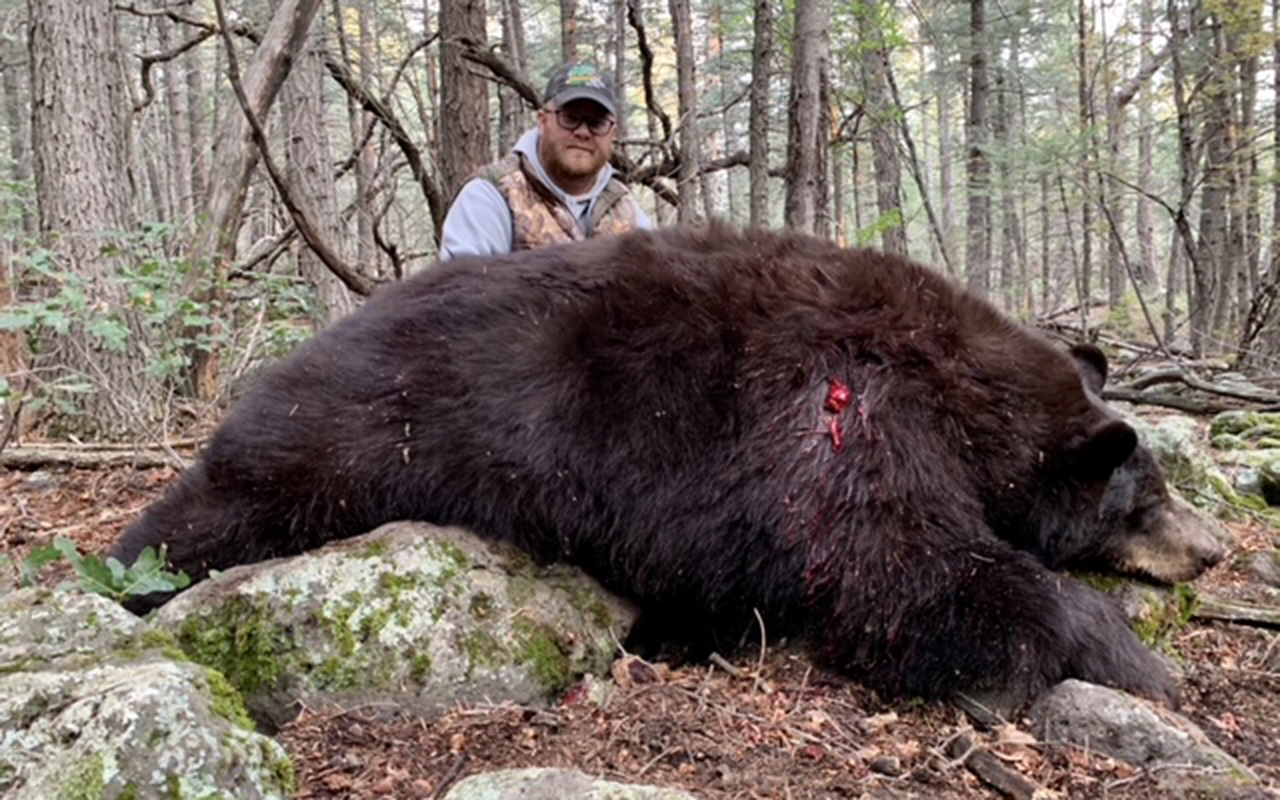 Tri-State Outfitters bear