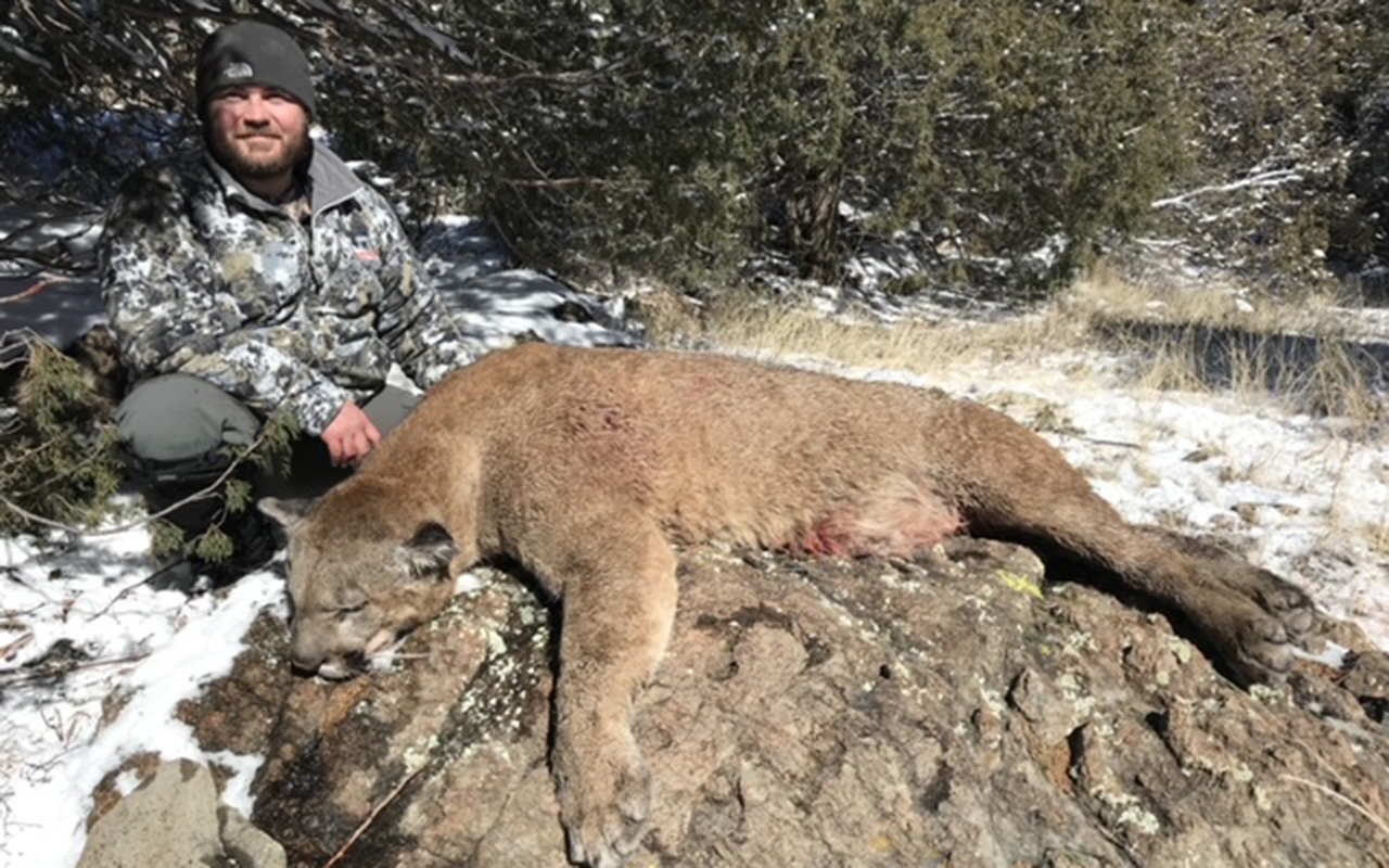 Tri-State Outfitters lion