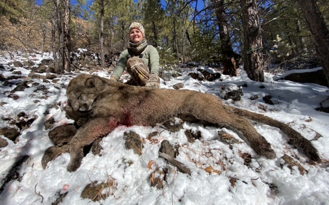 Tri-State Outfitters lion