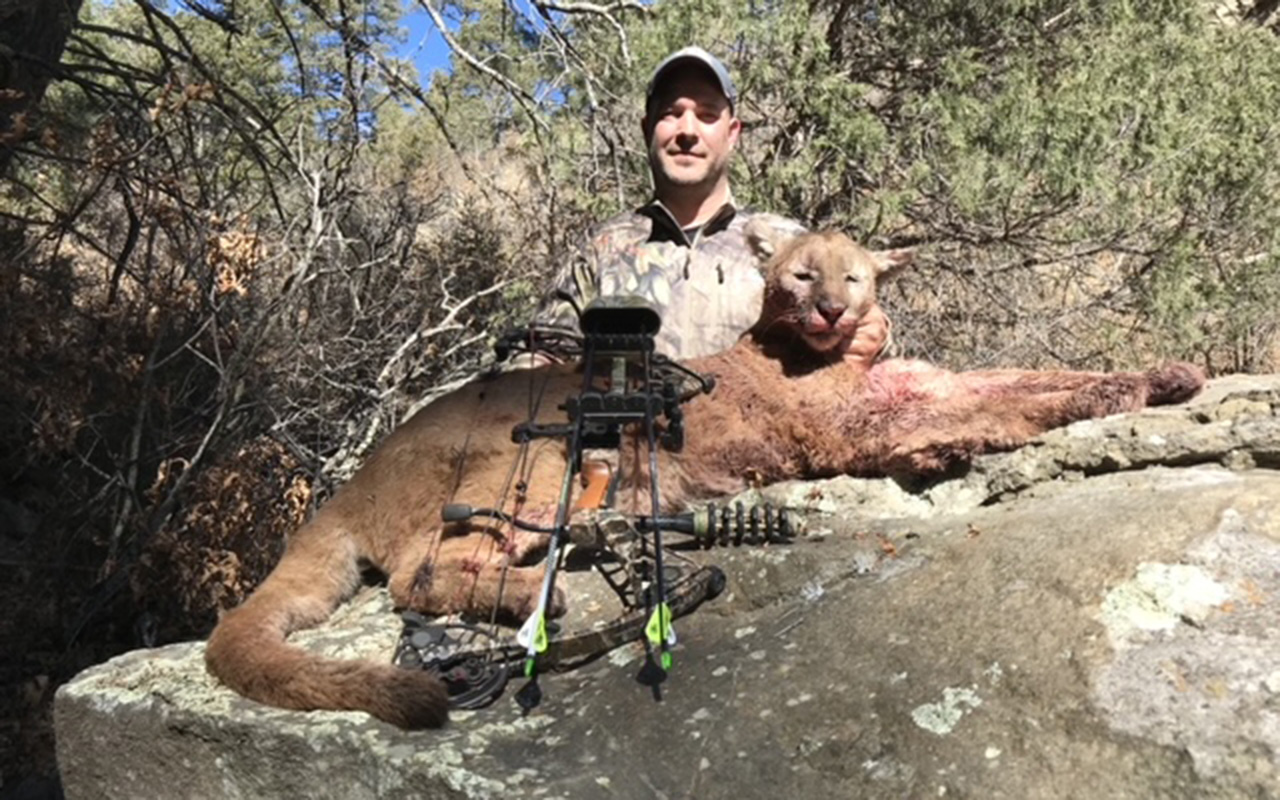 Tri-State Outfitters lion